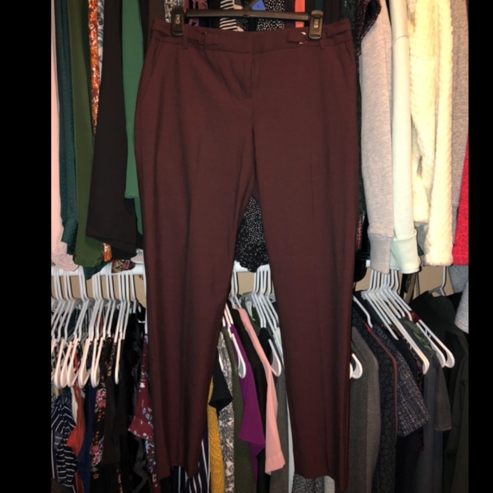 The Limited dress pants